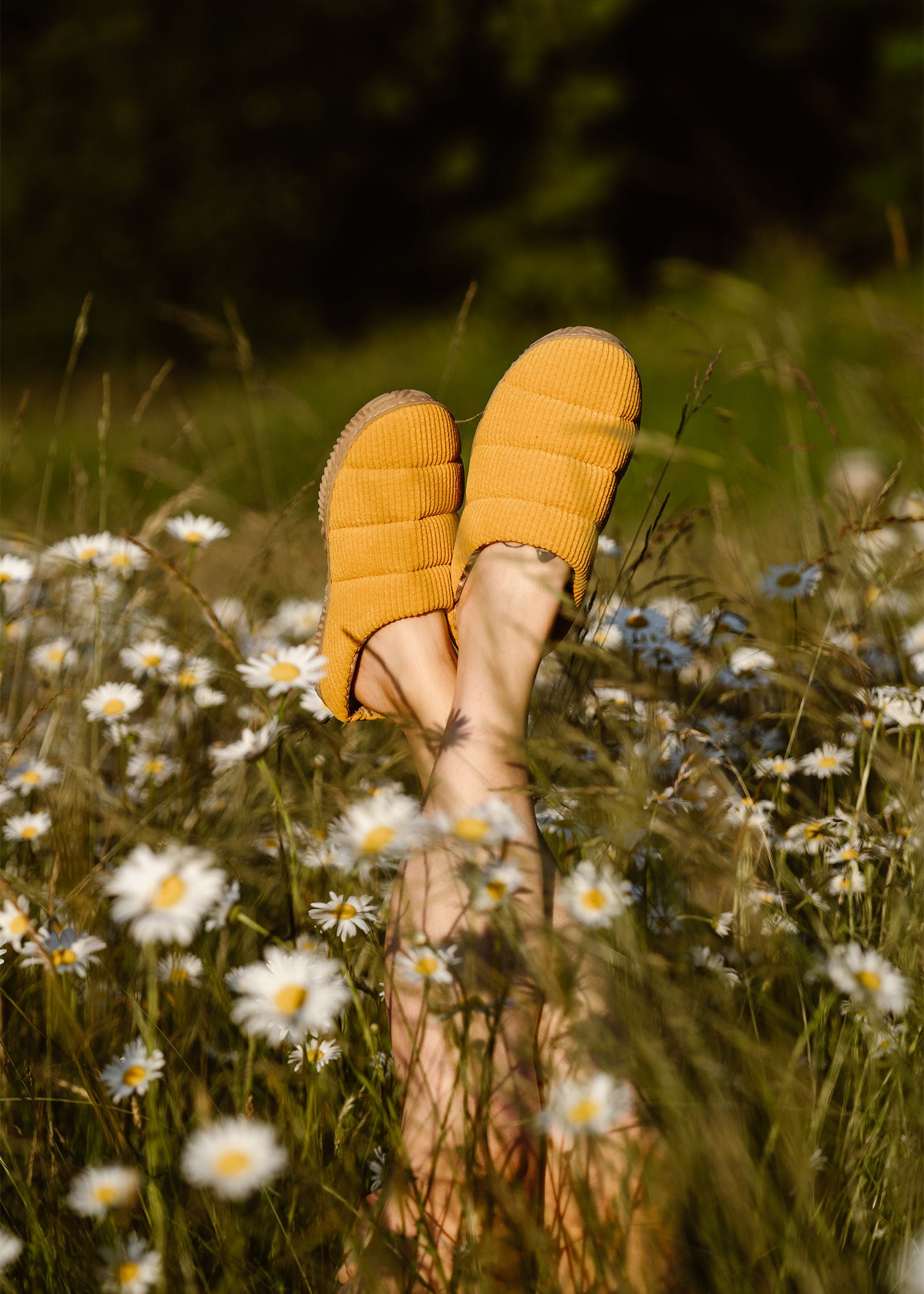 Gold hotsell fusion toms